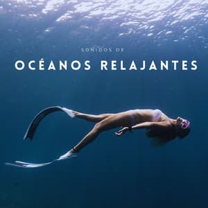 Sonidos De Océanos Relajantes - Vientos y Océanos