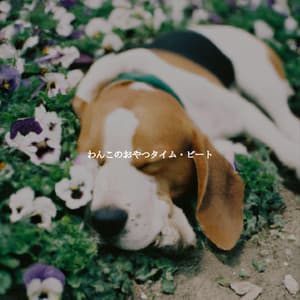 わんこのおやつタイム・ビート - Classic Jazz Chill