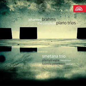 Brahms: The Complete Piano Trios - Johannes Brahms