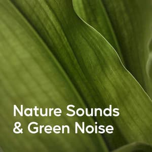 Nature Sounds & Green Noise - Deep Sleep Nature Sounds