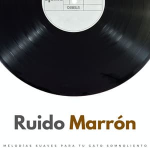 Ruido Marrón: Melodías Suaves Para Tu Gato Somnoliento - Tiempo Discreto