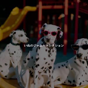 いぬのジャム・コレクション - Musica di Sottofondo Jazz