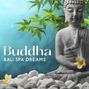 Buddha Bali Spa Dreams: Buddha's Flute, Zen Music for Inner Balance, Yoga, Meditation Instrumental New Age - Energizing Yoga Zone
