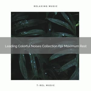 Leading Colorful Noises Collection For Maximum Rest - Pure Deep Sleep White Noise