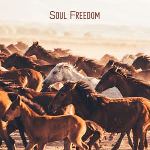 Soul Freedom - Soft Guitar Music