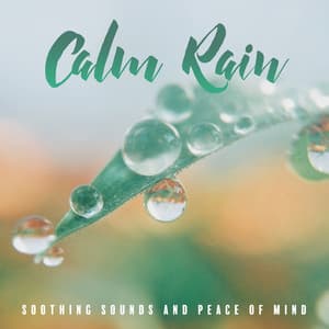 Calm Rain - Soothing Sounds and Peace of Mind - Time for Meditation and Mindfulness Practice - Healing Rain Sound Academy