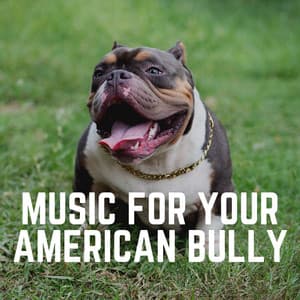 Music for Your American Bully - Dog Music