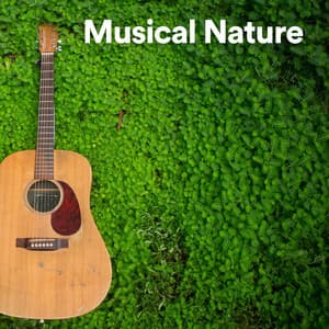 Musical Nature - Life Sounds Nature