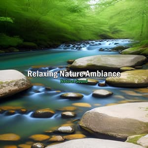 Relaxing Nature Ambience - Natural Sound