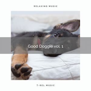 2021 New: Good Doggie vol. 1 - Relaxmydog