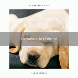 De Amor a los Perritos - Biblioteca de Música Para Mascotas