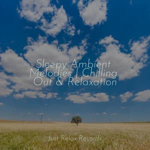 Sleepy Ambient Melodies | Chilling Out & Relaxation - Shakuhachi Sakano