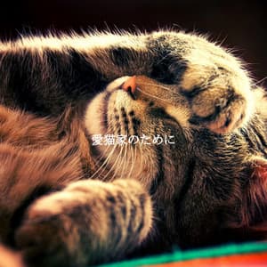 愛猫家のために - Música Alegre para Cafeterías