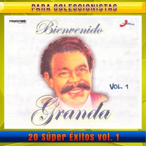 20 Súper Éxitos, Volumen 1 - Bienvenido Granda