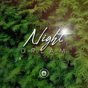 Night Dream - Sounds Of Nature
