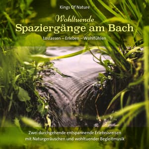 Spaziergänge am Bach - Kings of Nature