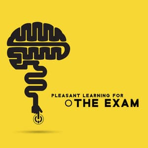 Pleasant Learning for the Exam – Gentle Background New Age Tones: Pure Relaxation, Deep Focus & Mind Stimulation - Study Music 101