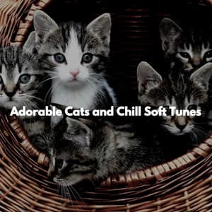 Adorable Cats and Chill Soft Tunes - Chill Jazz Playlist