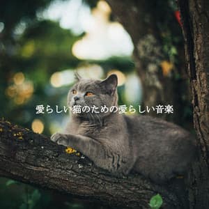 愛らしい猫のための愛らしい音楽 - Mellow Jazz Beats
