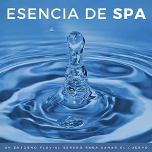 Esencia De Spa: Un Entorno Fluvial Sereno Para Sanar El Cuerpo - Estación de spa