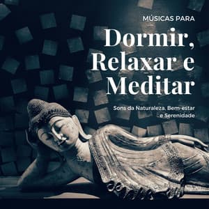 Músicas para Dormir, Relaxar e Meditar: Sons da Naturaleza, Bem-estar e Serenidade - Relaxanna