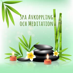 Spa Avkoppling och Meditation - Bästa Ljud för Spa, Meditation Lugn, Koppla av dig själv, Lätt att lyssna - Avslappning ljud klubb