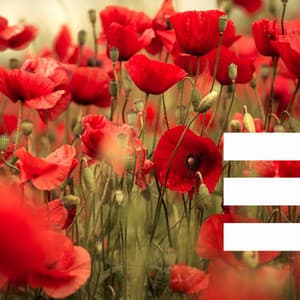 Jazz Guitar - Ambiance for Enjoying Nature - Musica para Estudiar Playlist