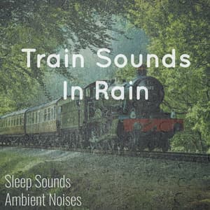 Train Sounds in Rain - Sleep Sounds Ambient Noises