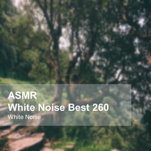 White Noise ASMR Best 260 - White Noise