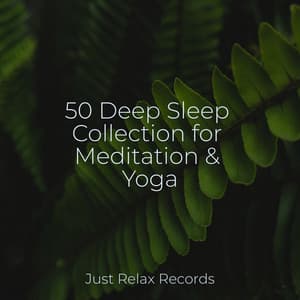 50 Deep Sleep Collection for Meditation & Yoga - Relaxed Minds
