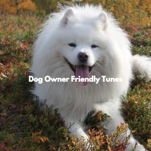 Dog Owner Friendly Tunes - Separation Anxiety Dog Music