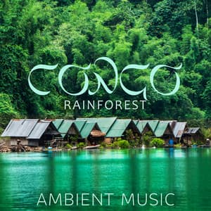 Congo Rainforest Ambient Music - Rainforest
