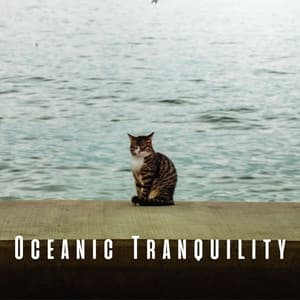 Oceanic Tranquility: Relaxing Sounds for Calm Cats - Relaxing Ocean Library