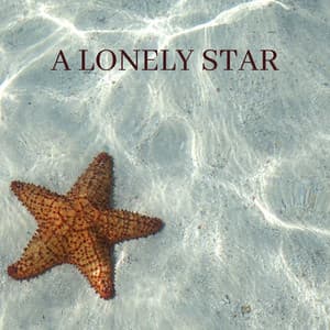 A Lonely Star - Masala Roo