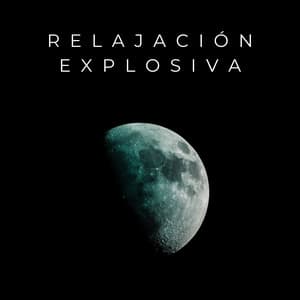 Relajación Explosiva - Chill Vaca Lofi