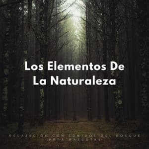 Los Elementos De La Naturaleza: Relajación Con Sonidos Del Bosque Para Mascotas - NatuREM