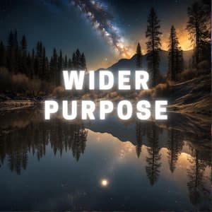 Wider Purpose - Little Circuits