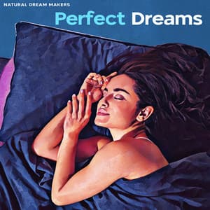 Perfect Dreams - Natural Dream Makers