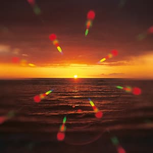 Cafe Del Sol - Jeff Newmann