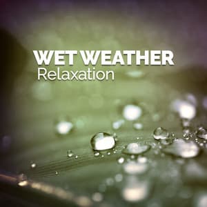 Wet Weather Relaxation - Rain Sounds for Meditation