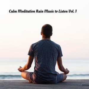 Calm Meditation Rain Music to Listen Vol. 1 - The Rain Factory