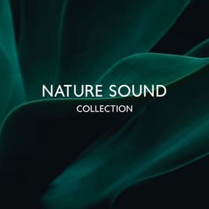 NATURE SOUND COLLECTION – Relaxing And Soothing Green Noise & Instrumental Music - Green Noise Dimension