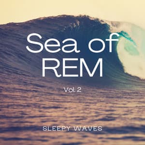 1 Sea of REM Vol. 2 - Sea of Calmness