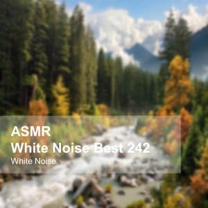 White Noise ASMR Best 242 - White Noise