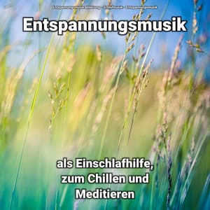 ! ! ! ! ! Entspannungsmusik als Einschlafhilfe, zum Chillen und Meditieren - Entspannungsmusik Abteilung