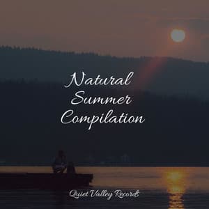 Natural Summer Compilation - Massagem Coleção de Músicas