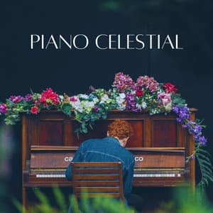 Sonidos De Piano Celestial - Cubiertas antipolvo para piano
