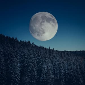 Dormir Tranquilo: Música Relajante Para La Noche - Tecnología ambiental