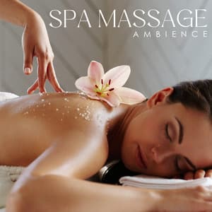 Spa Massage Ambience: Soft Body Restoration, Soothing Music - Beautiful Spa Collection
