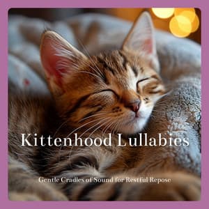 Kittenhood Lullabies: Gentle Cradles of Sound for Restful Repose - Cat & Calm
